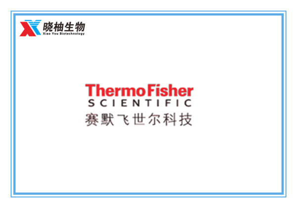 产品详情页 thermo fisher 赛默飞世尔
